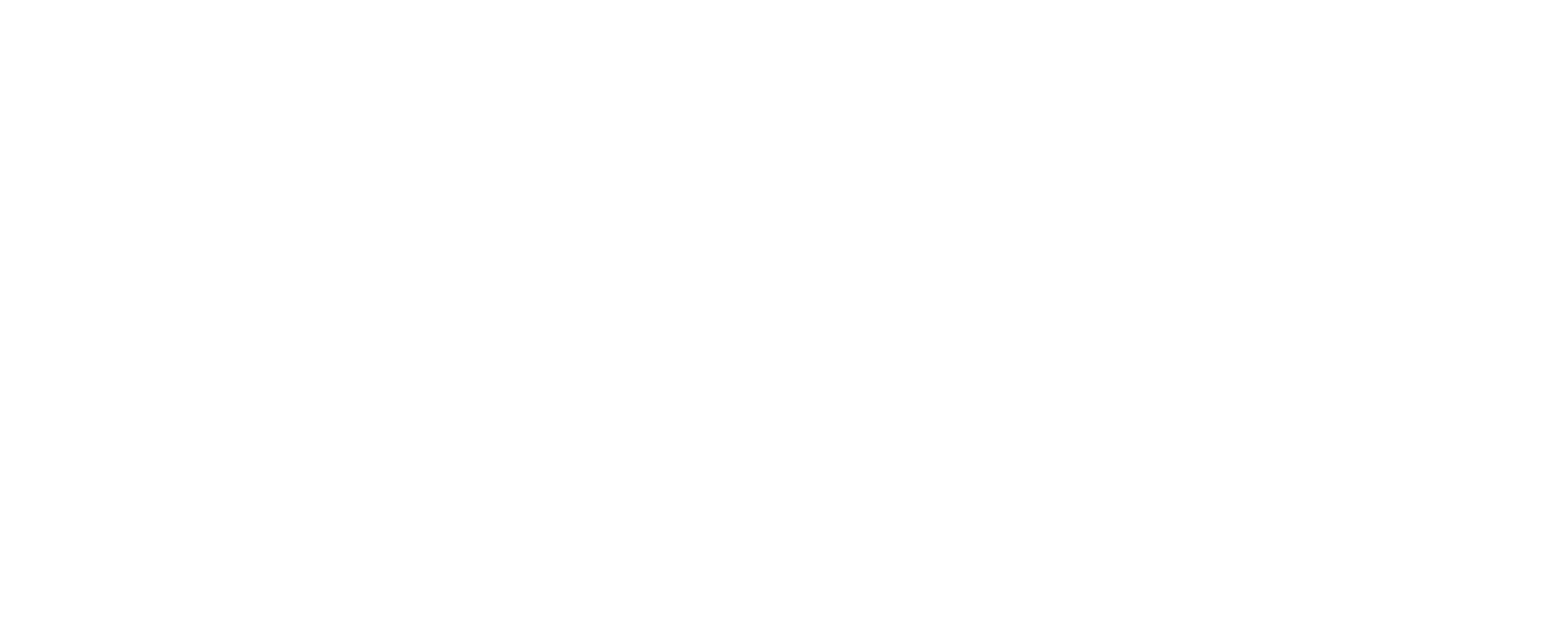 DASH Dog Walking Logo