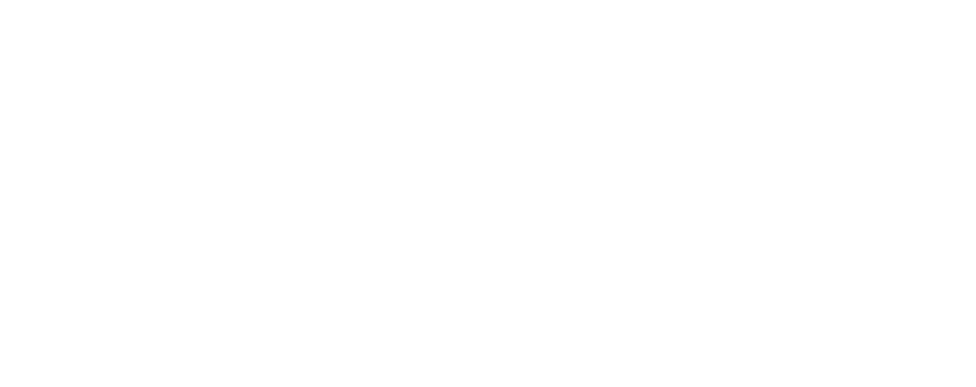 DASH Dog Walking